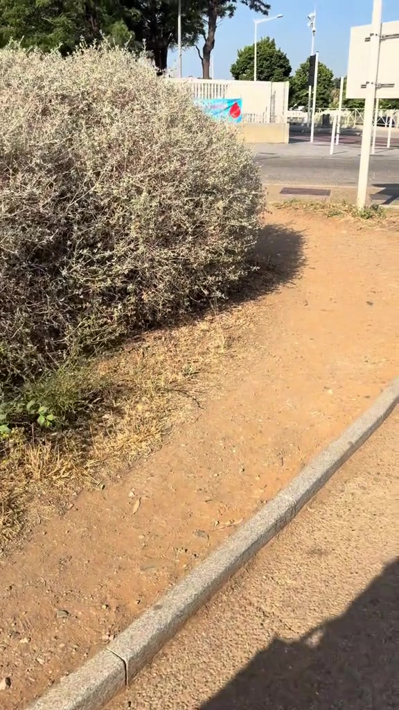 @hodnaleo: ⴱⵡⴷⵏⴰ ⵉⵣⵎ