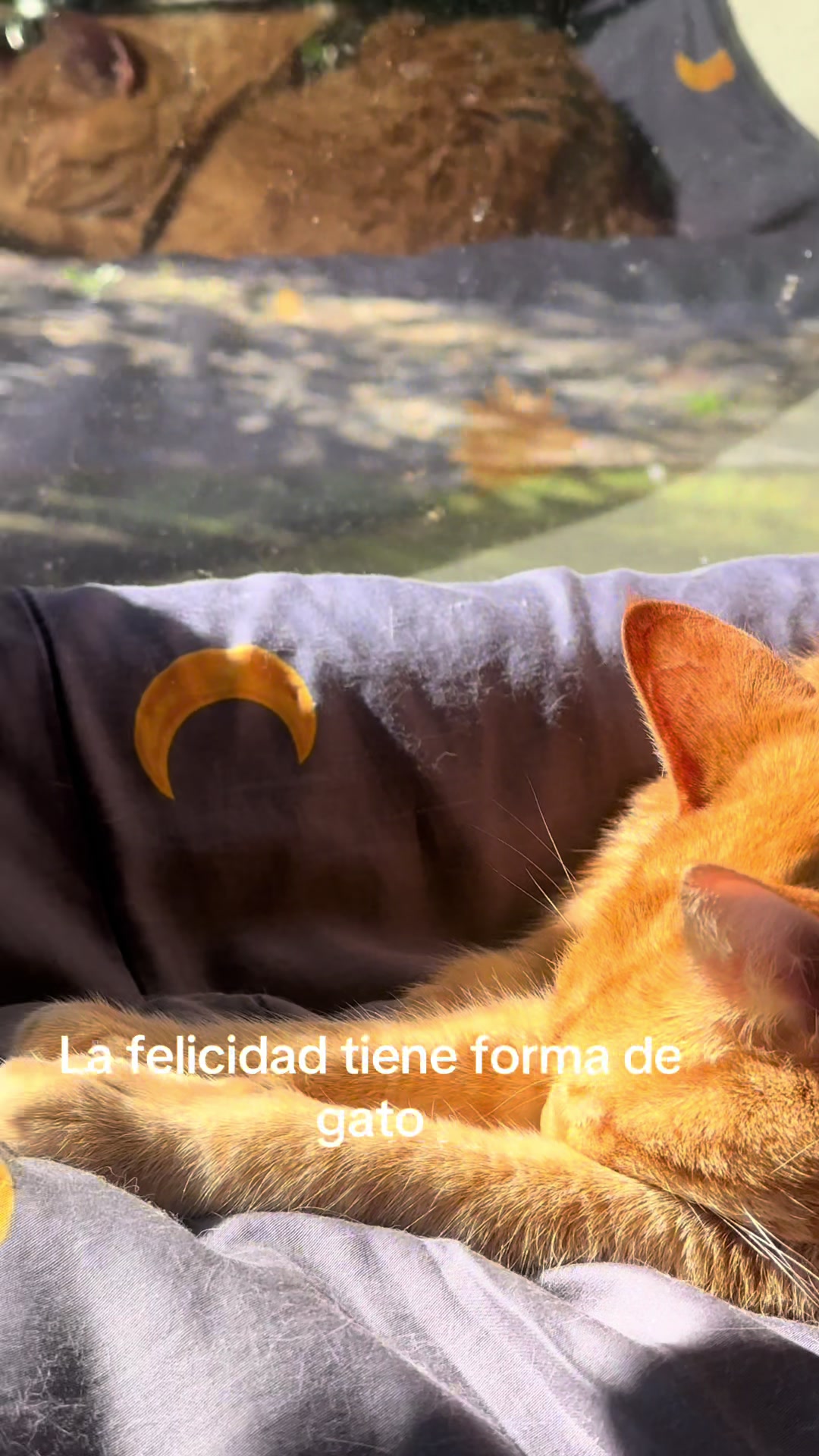 @ameriscristal