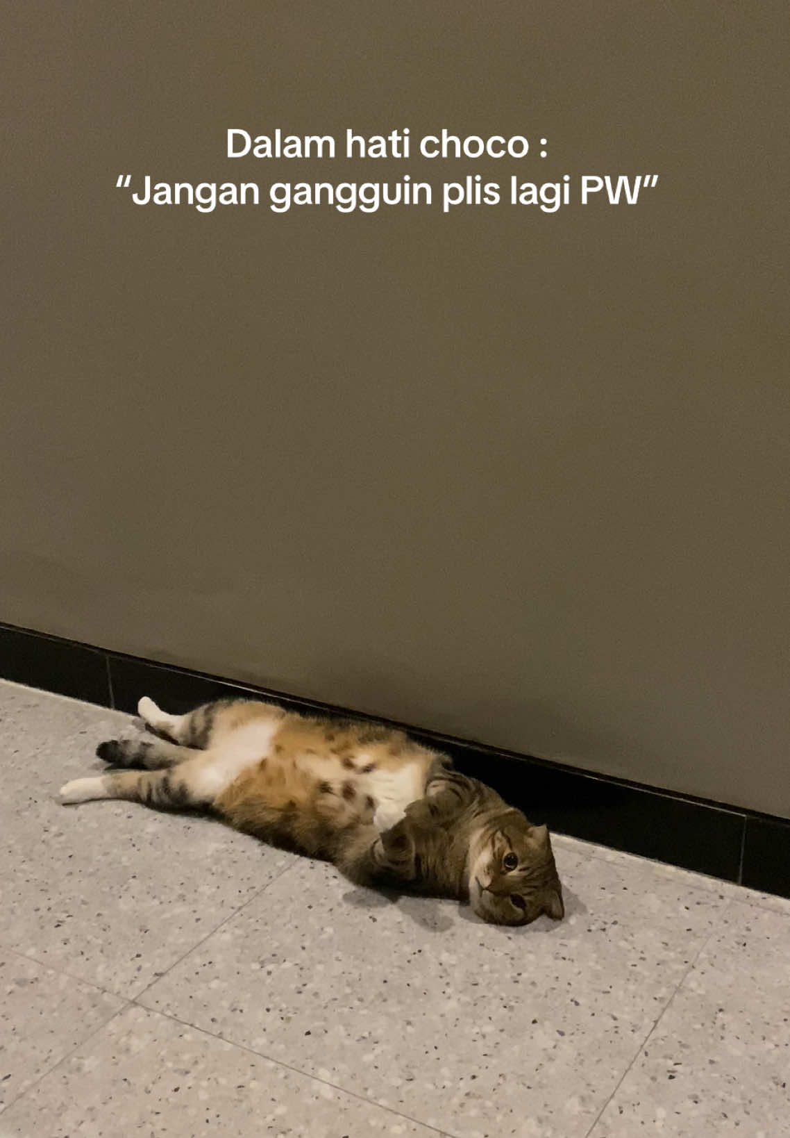 @Choco Late