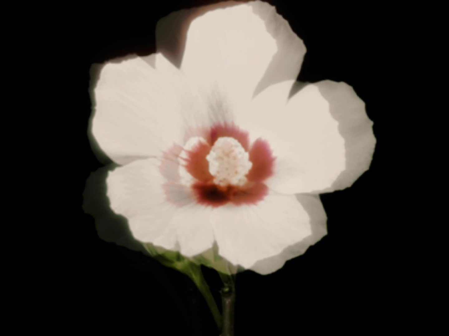 @ᶻ 𝗓 𐰁