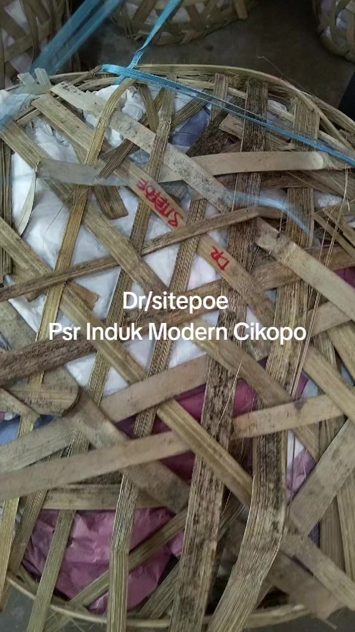 @TKM - Timai Kuah Maler