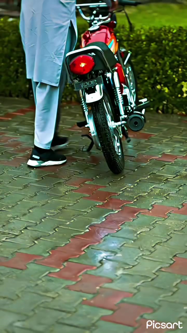 @WOLF 🐺