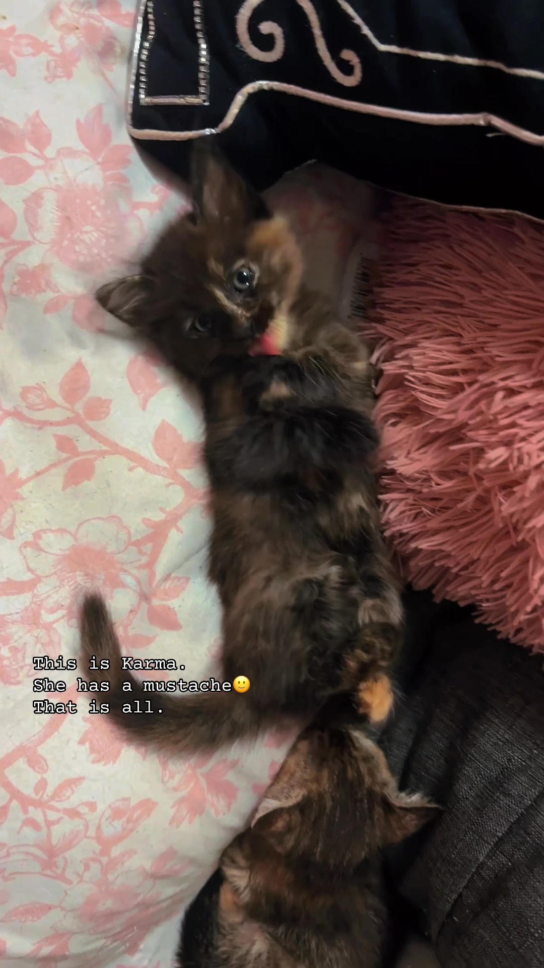 @6’4Diamond