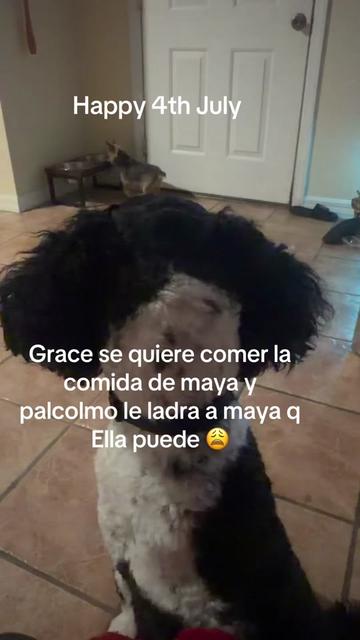 @Lizmel🐎🫀🌵🏳️&zwj;🌈