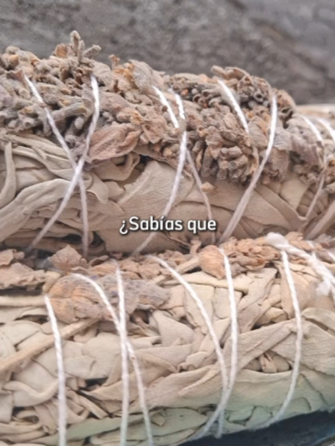 @Sentidos de la Vida