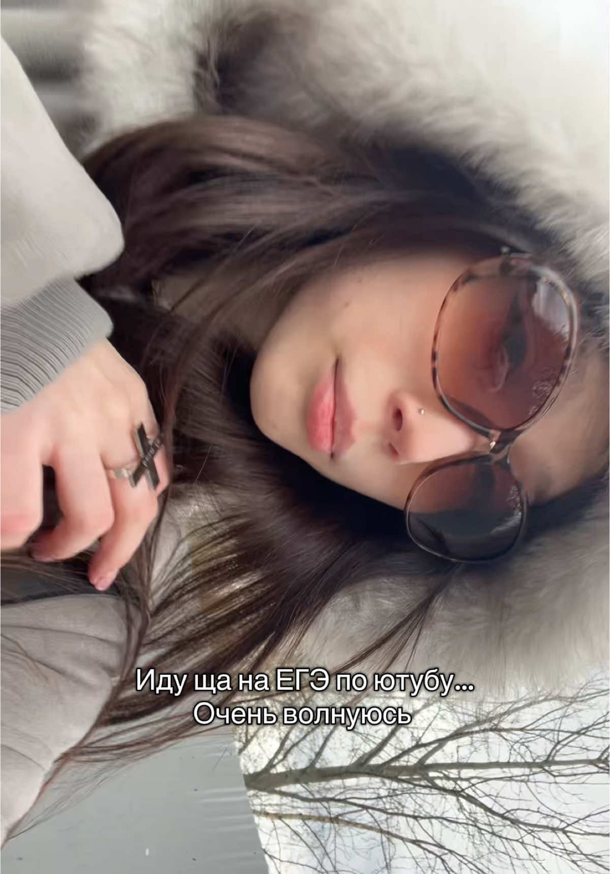 @perrsisi