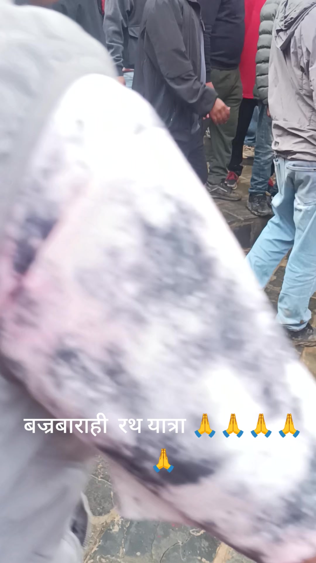 @Malati basnet
