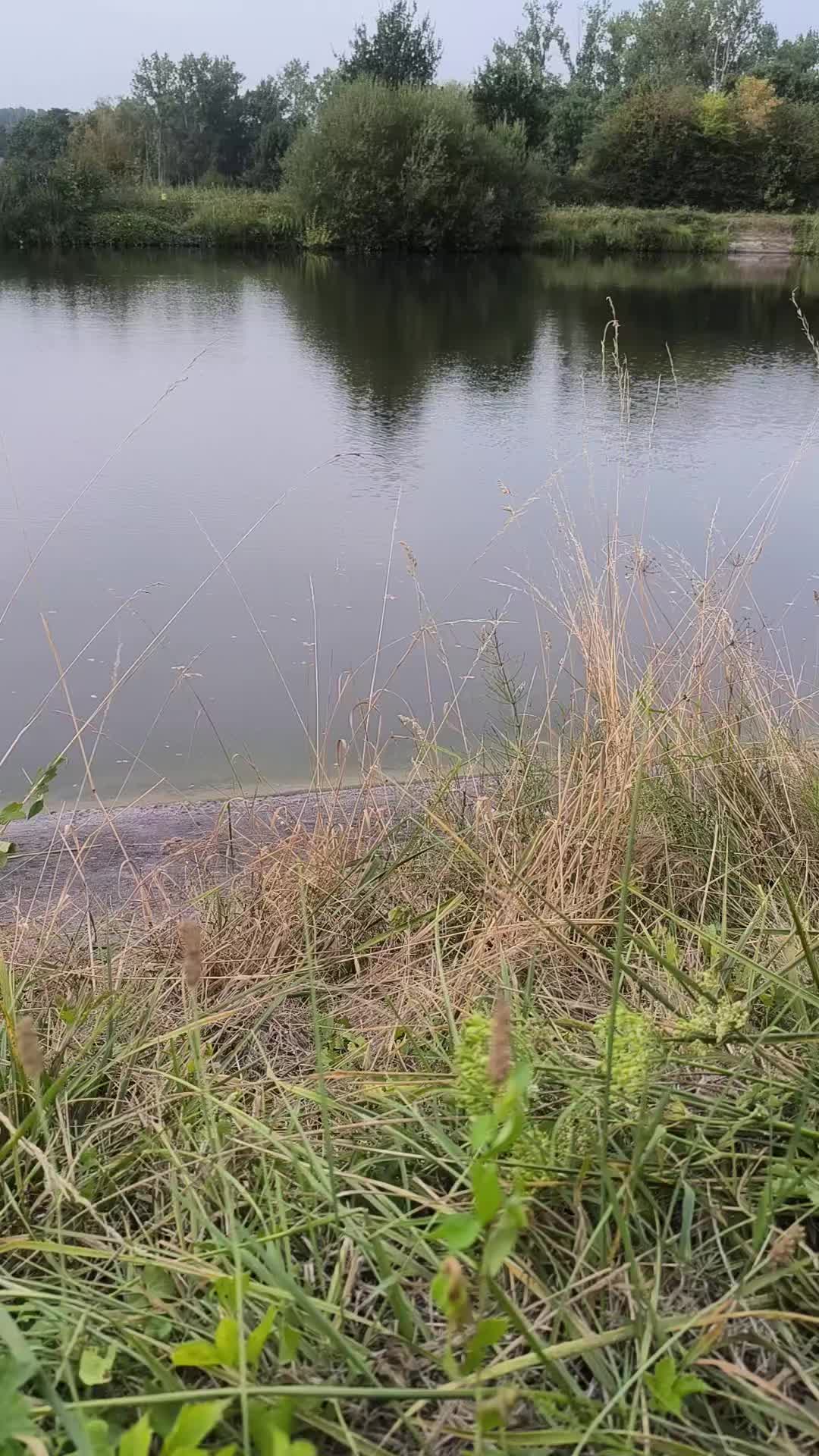 @Jocarpfishing