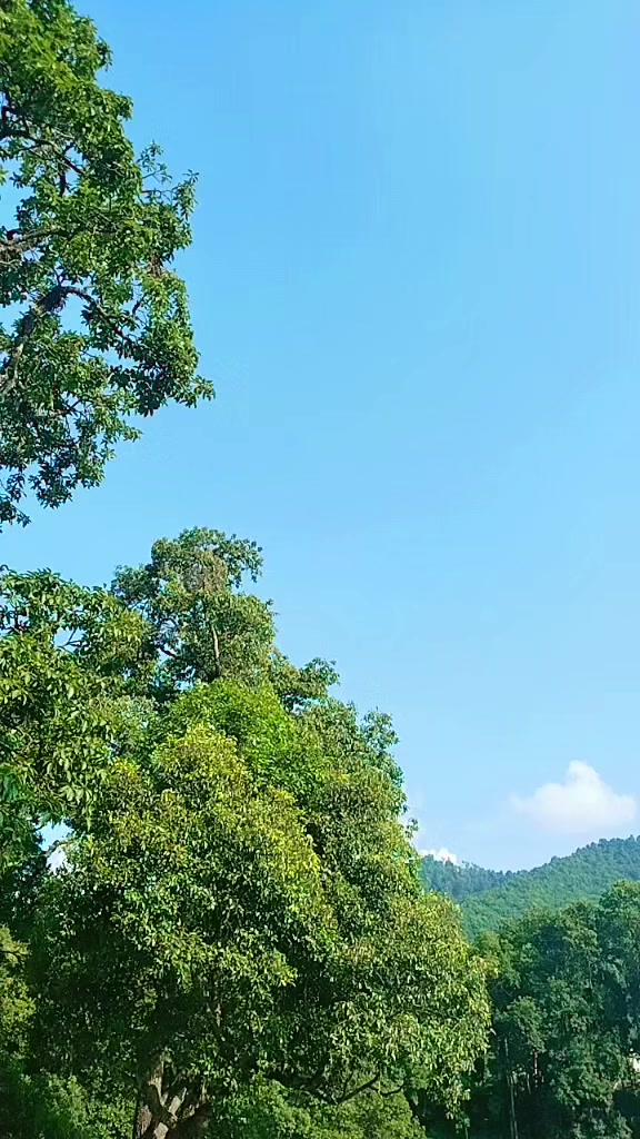@Ganesh Tmg🥀🥀
