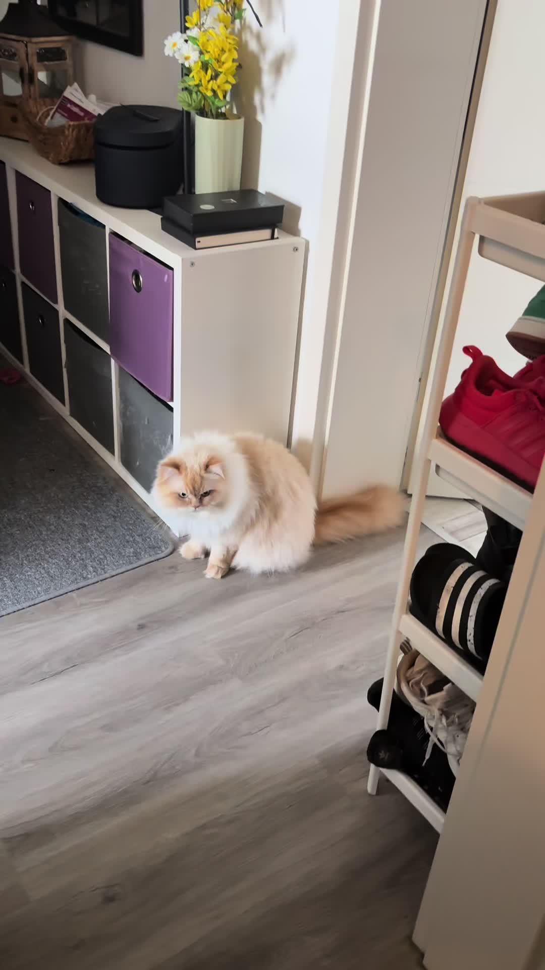@milo.sigma0