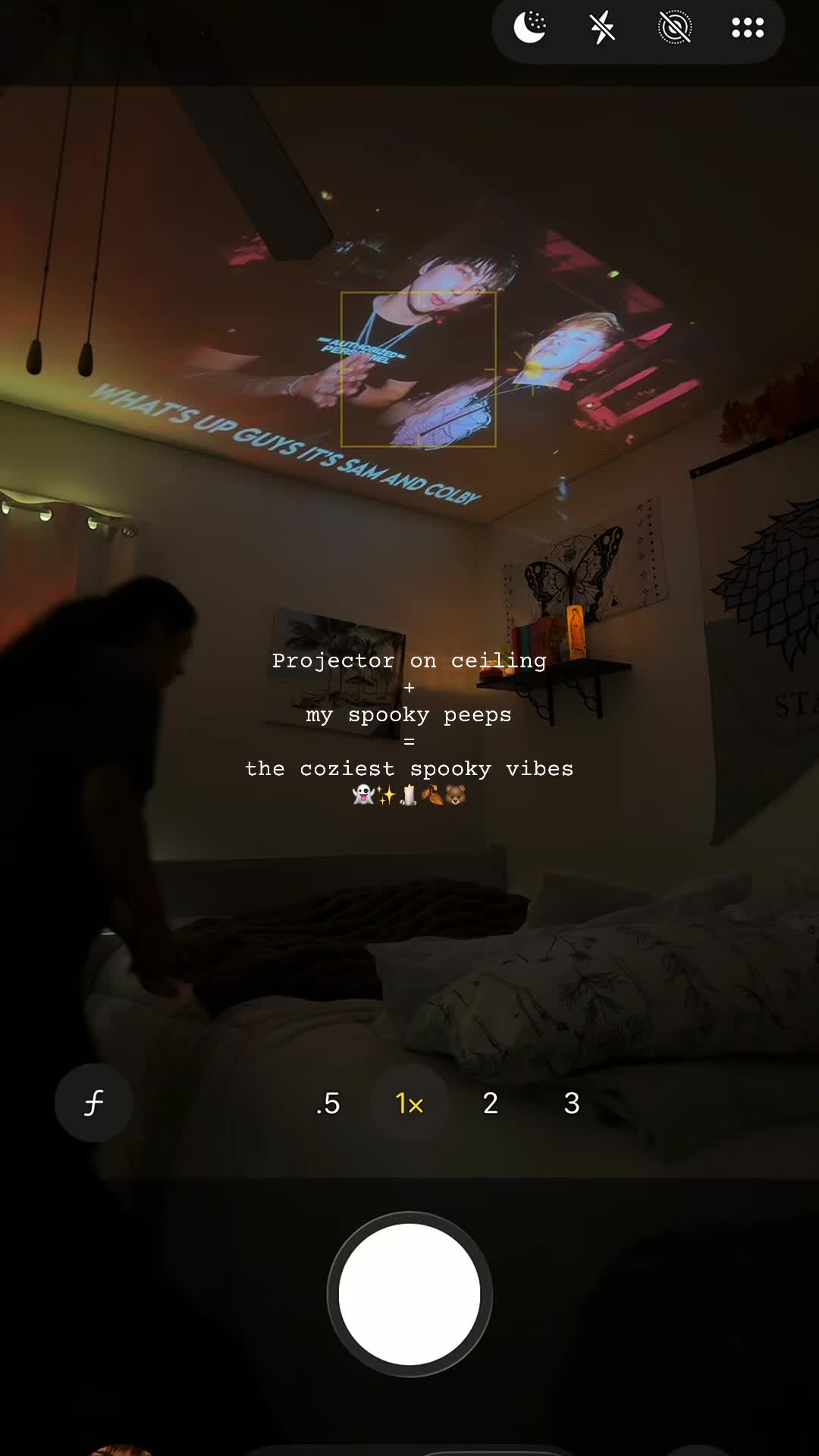@DoraPalm 💖