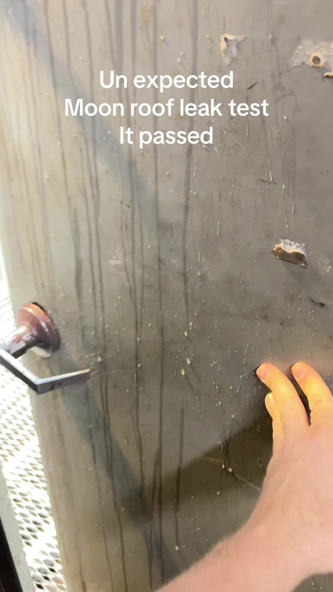 @Dodger331