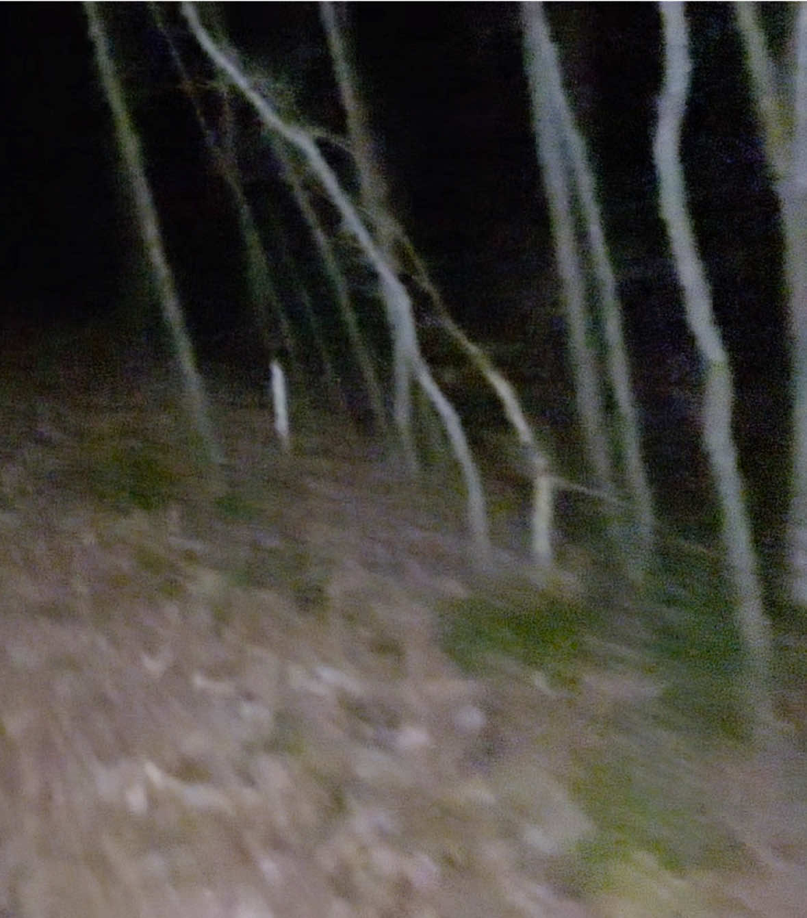 @SpaghettiYeti