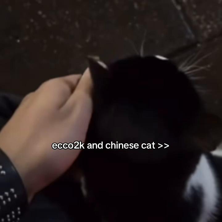 @эльдар