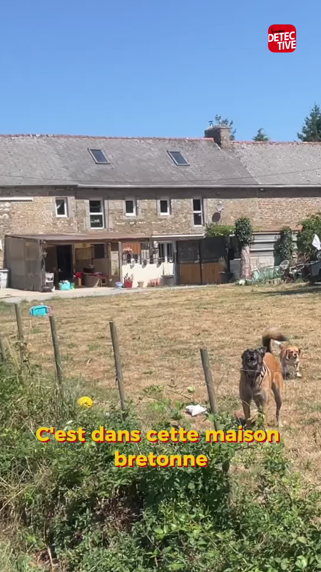 @lenouveaudetective