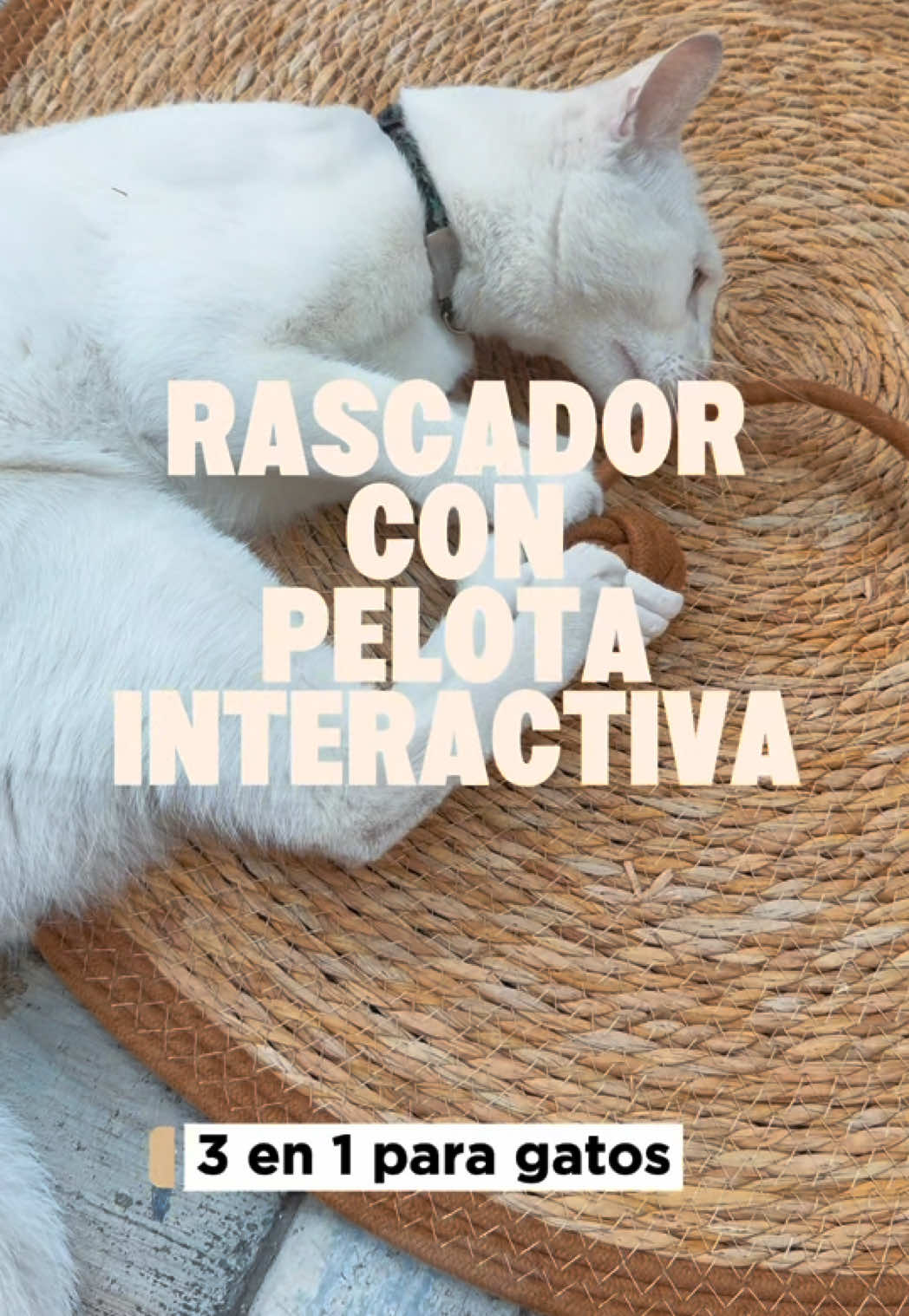 @Paloma Contreras