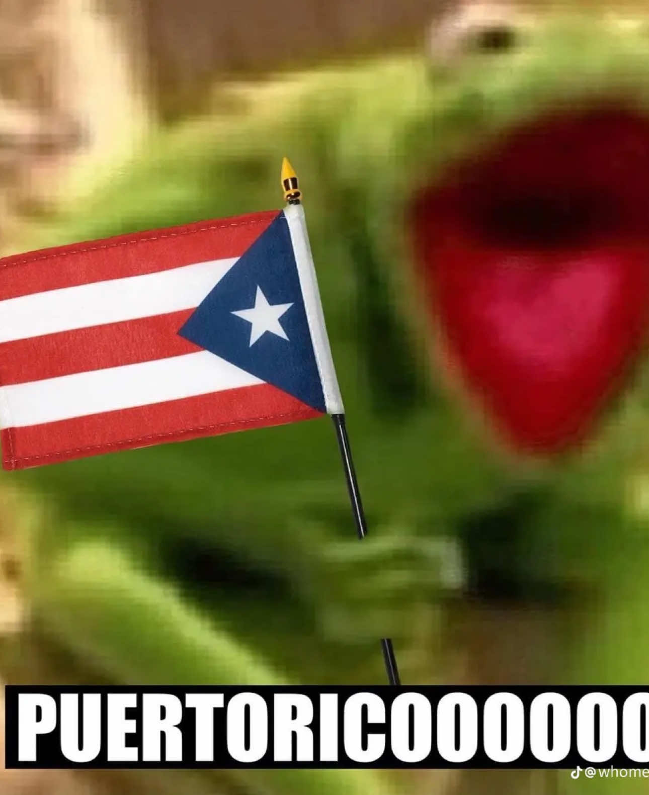 @BNTH_Lisa 🇵🇷