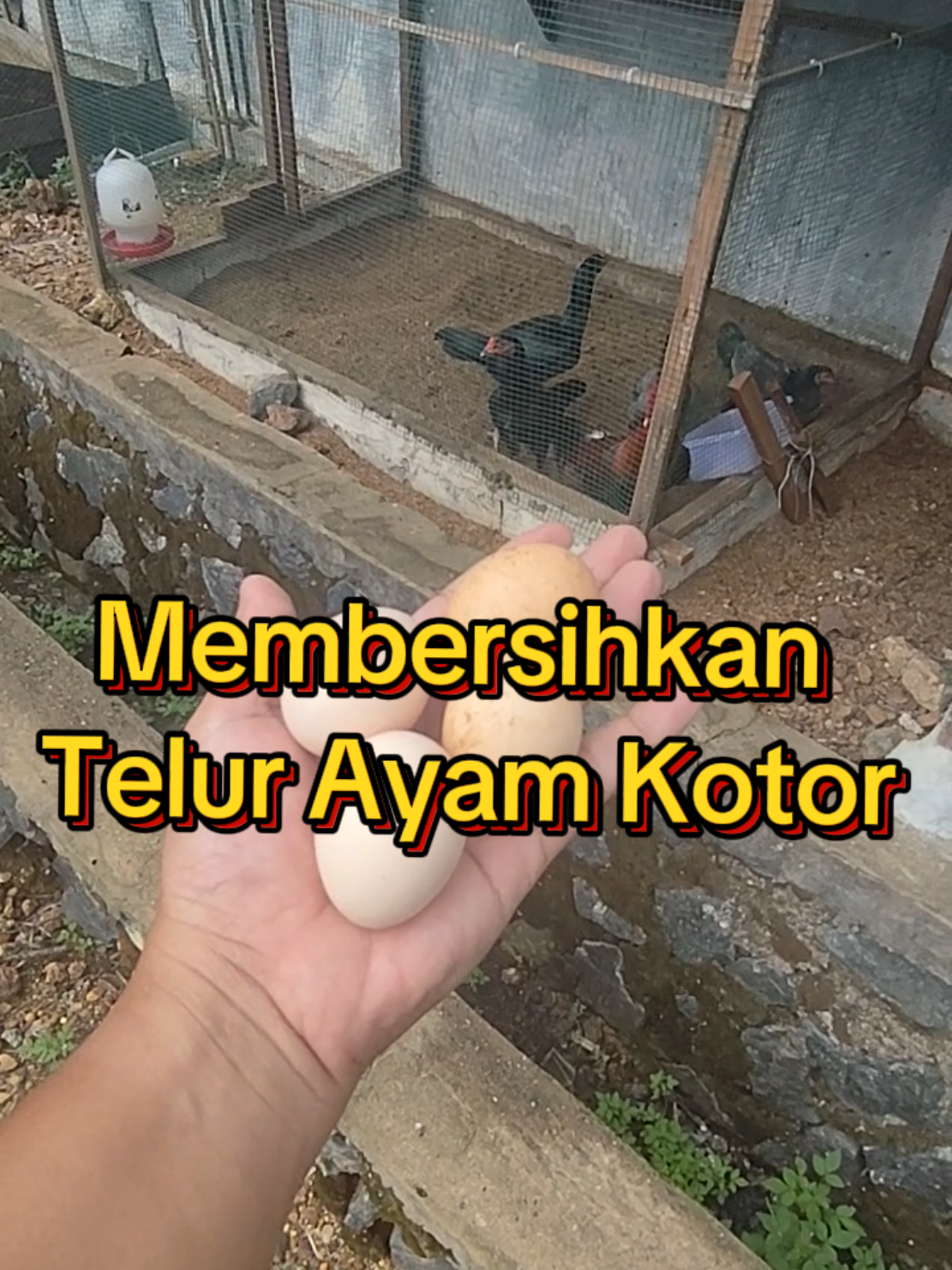 @Prasetya