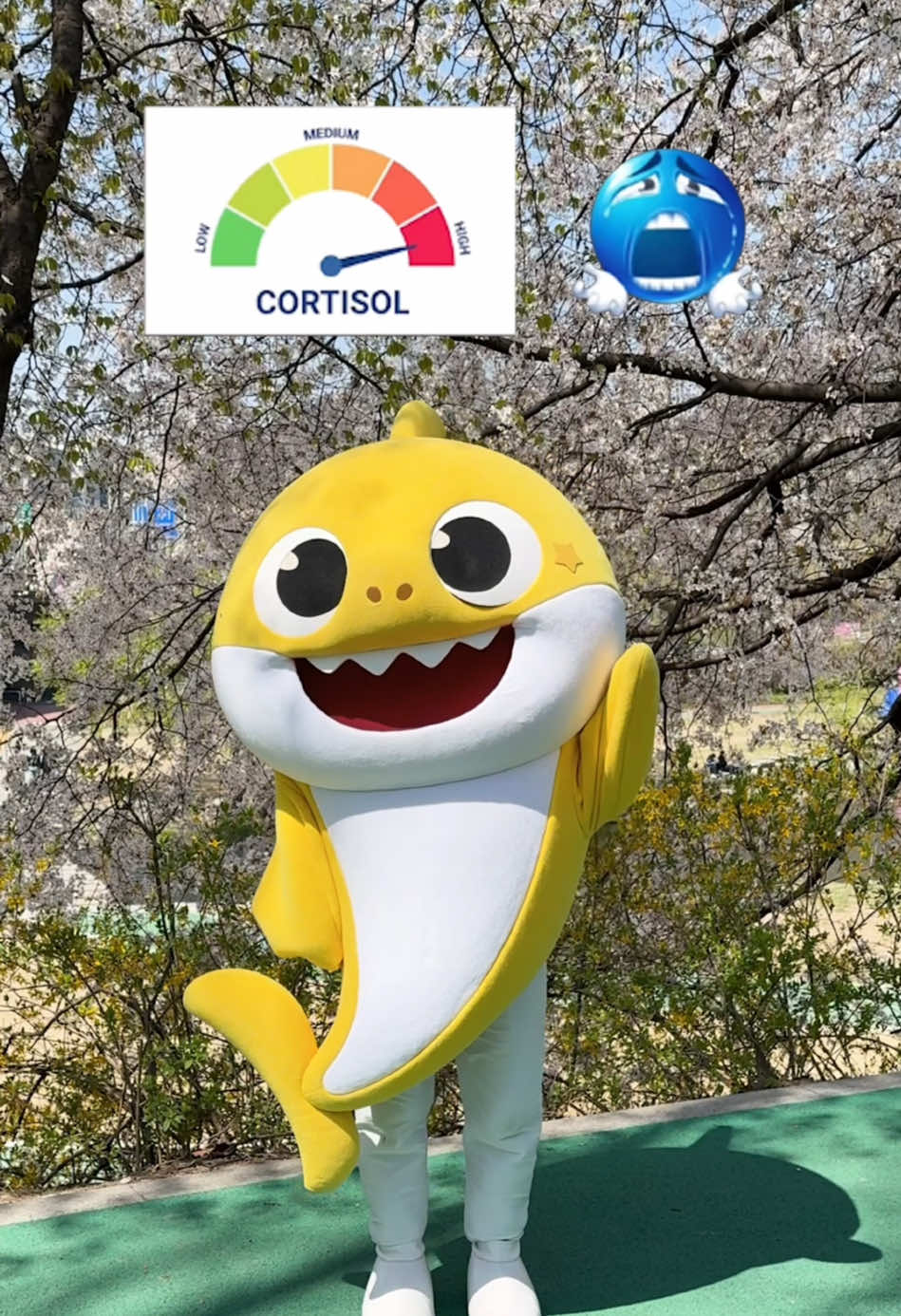 @Baby Shark Official