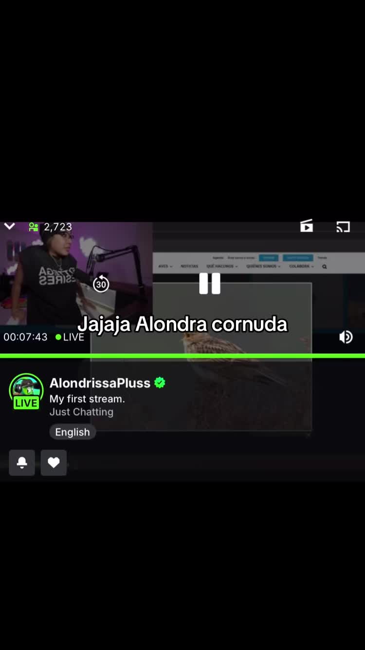 @😸Alejito🐎