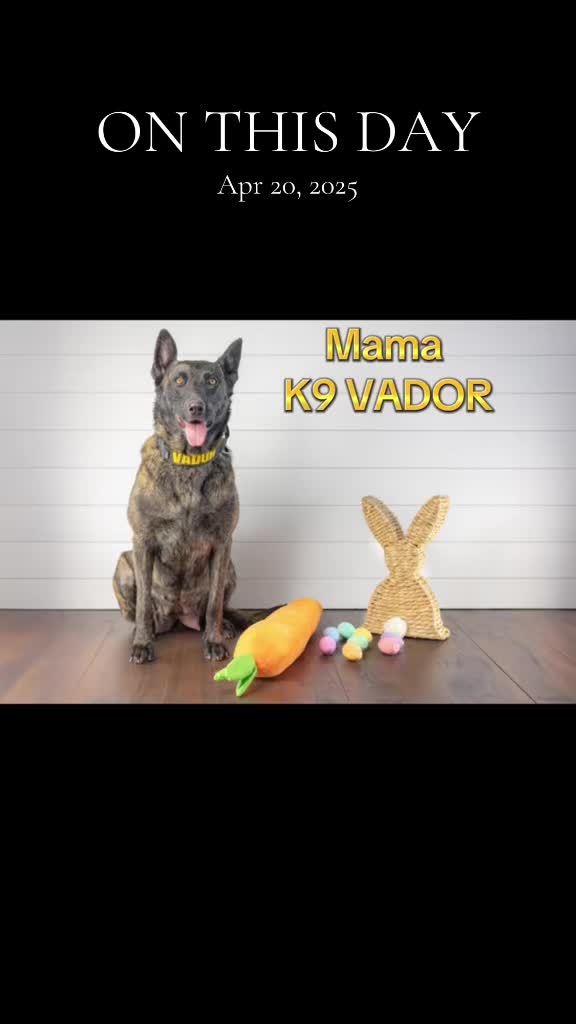 @Sabina Mattern