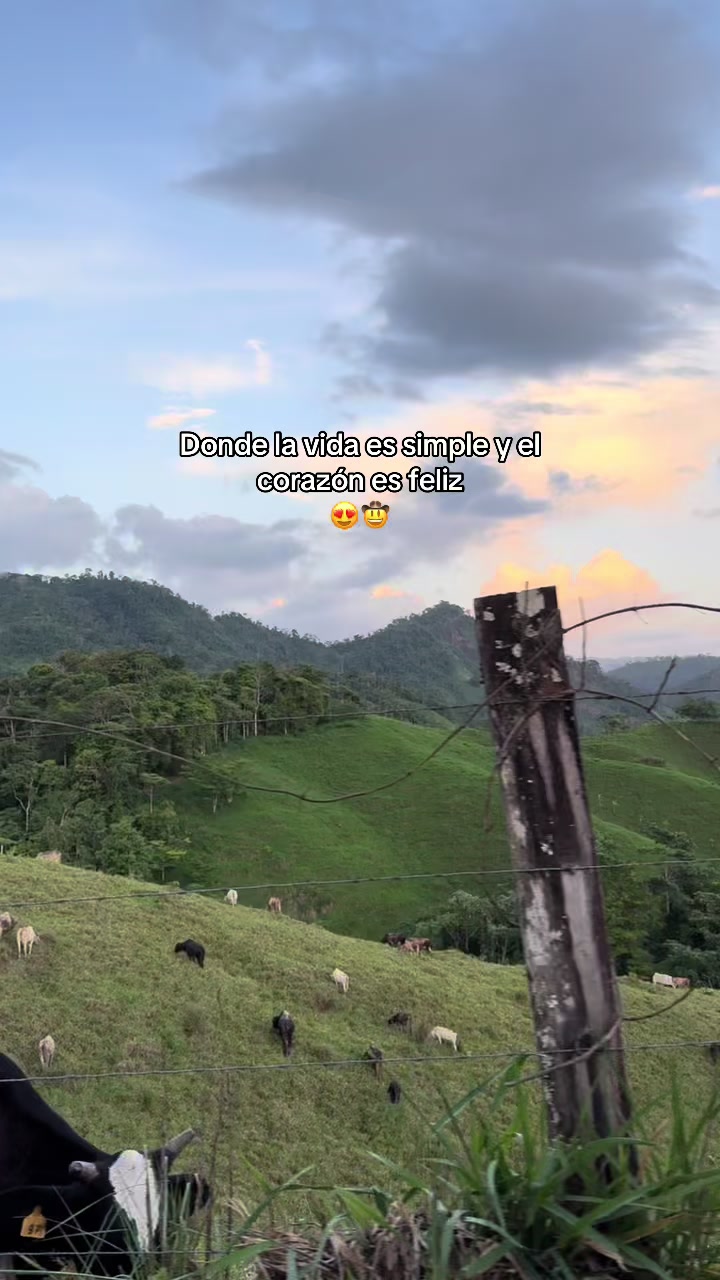 @𝙣𝙖𝙣𝙘𝙮-𝙧𝙞𝙫𝙚𝙧𝙖
