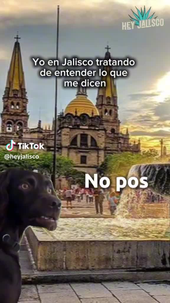 @gadgetd