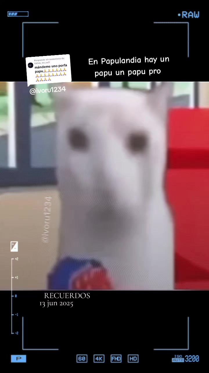 @Ivonne