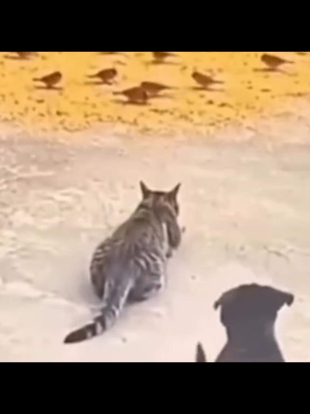 @Antℴnℯℒℒa✧Dℯℒ𝟣𝟫𝟩𝟩