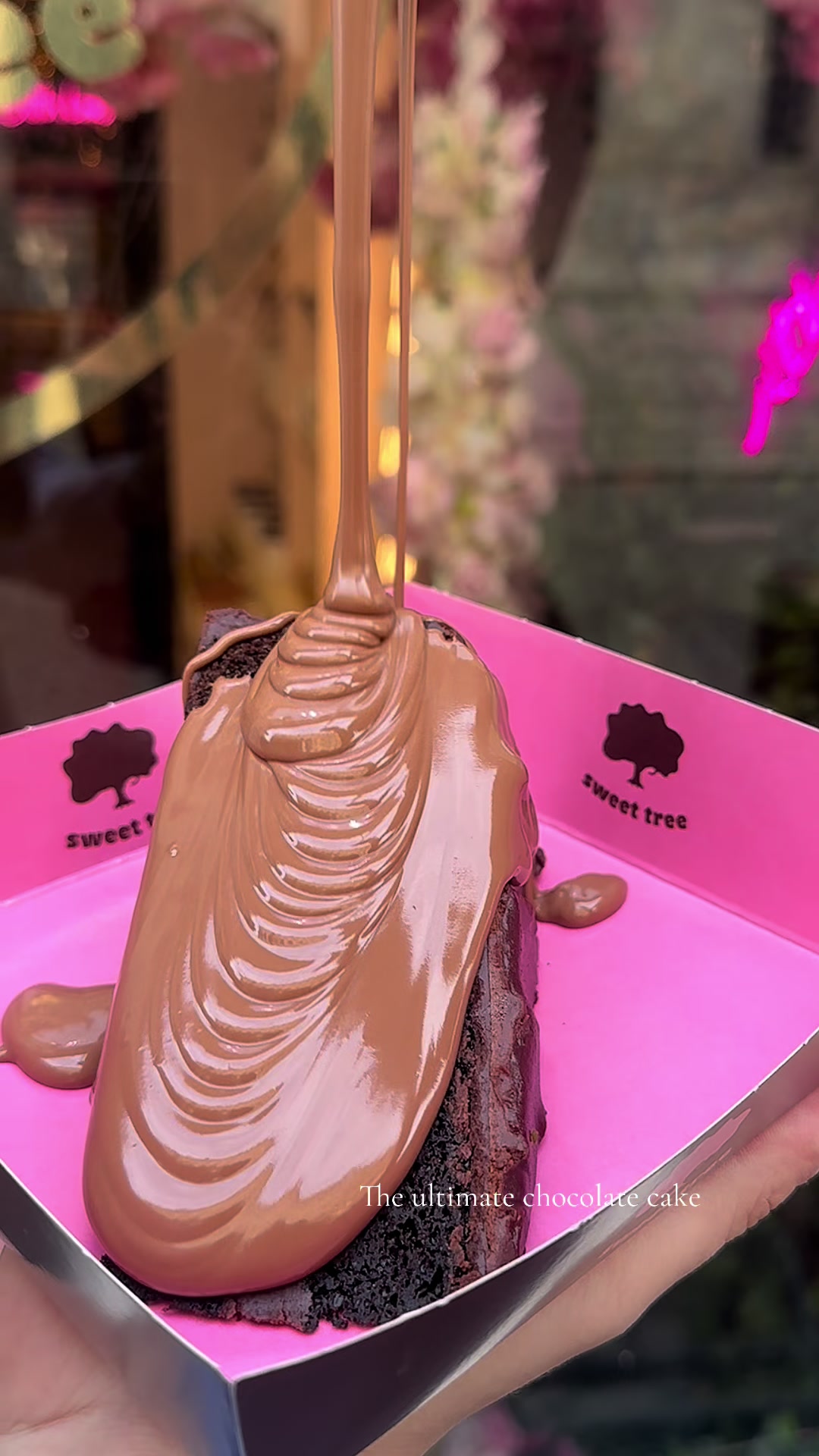 @Sweet tree