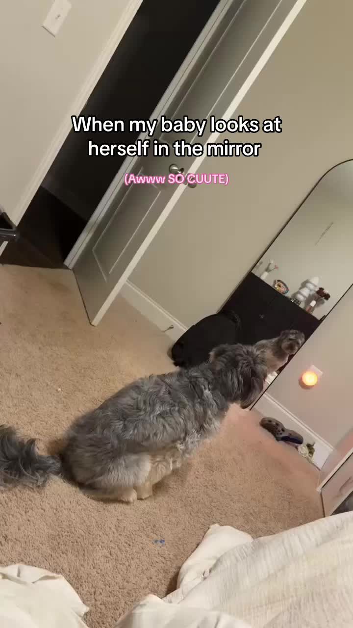 @-