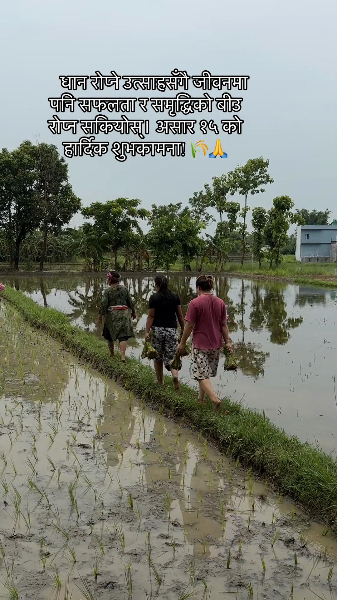 @सन्ध्या🧿🦚
