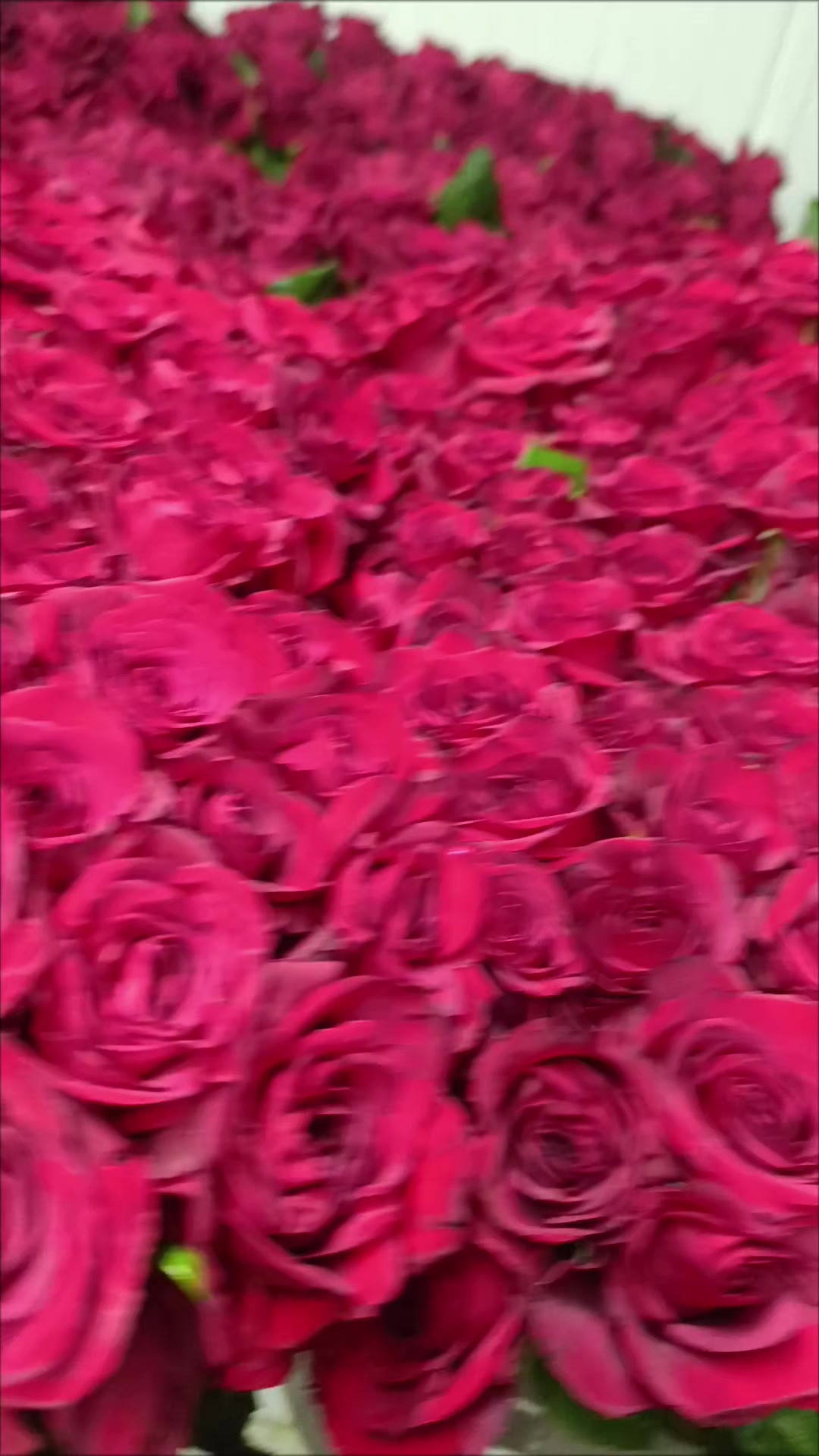 @ömür çiçek