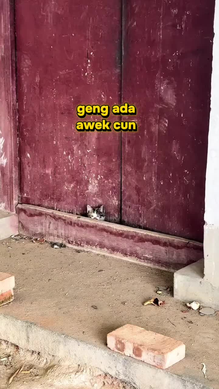 @izuanzainal
