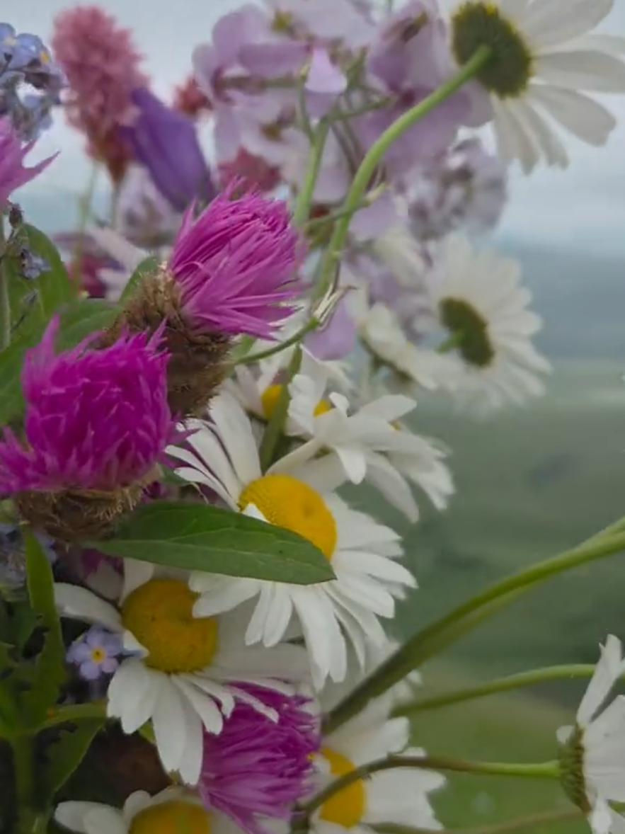 @tiktok
