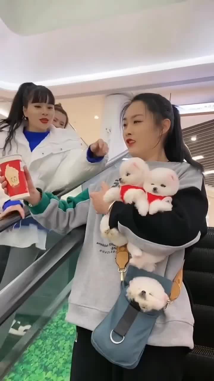 @𝙎𝙩𝙖𝙩𝙪𝙨_𝙆𝙞𝙣𝙜👑