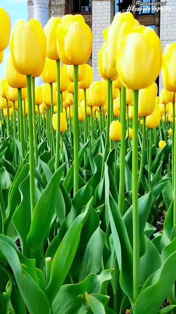 @ДаруйтеДОБРО-воноПОВЕРТАЄТЬСЯ