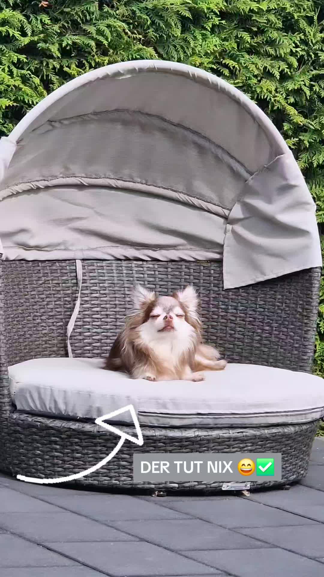 @🌸🐾꧁ 𝒮𝒶𝓃𝓃𝒾 ꧂🐾🌸
