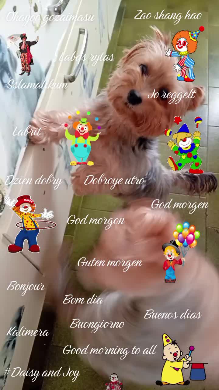 @#Daisy and Joy