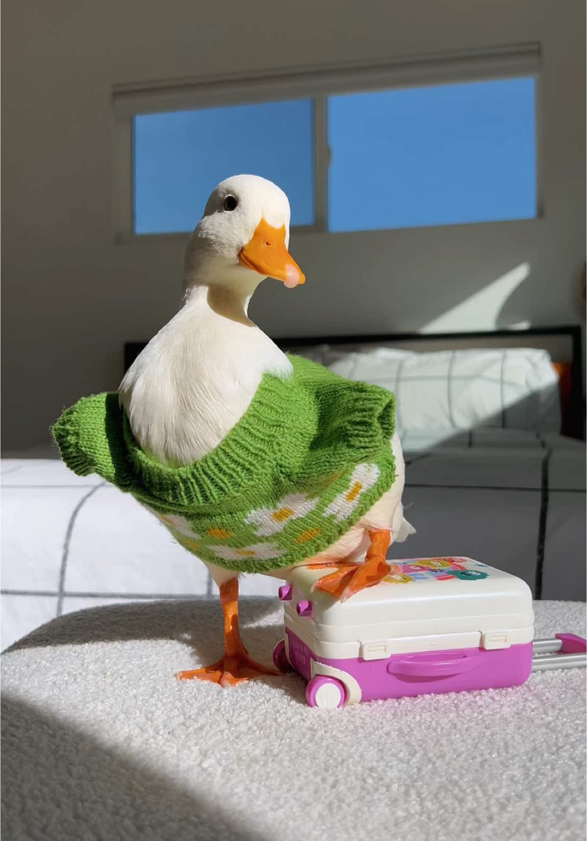 @ducks_in_space🪿🪿💦