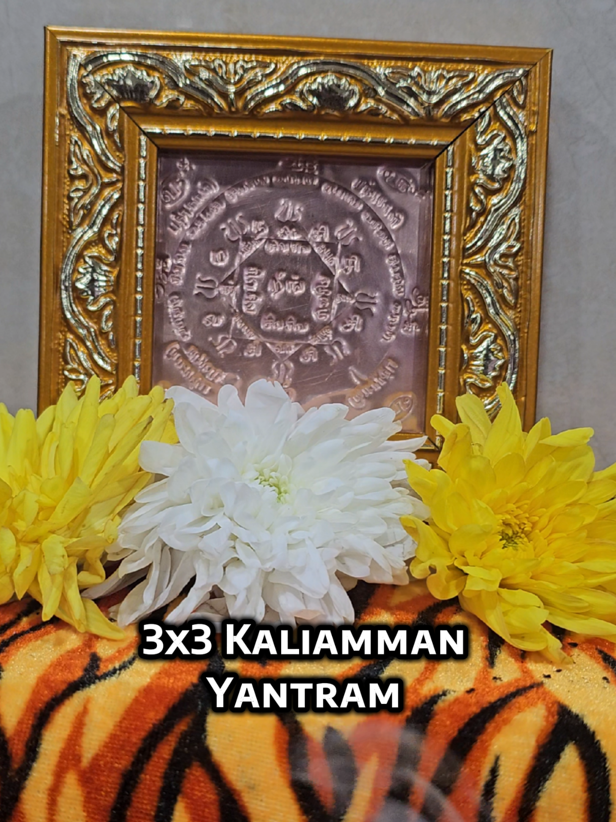 @MayanaMuniappan