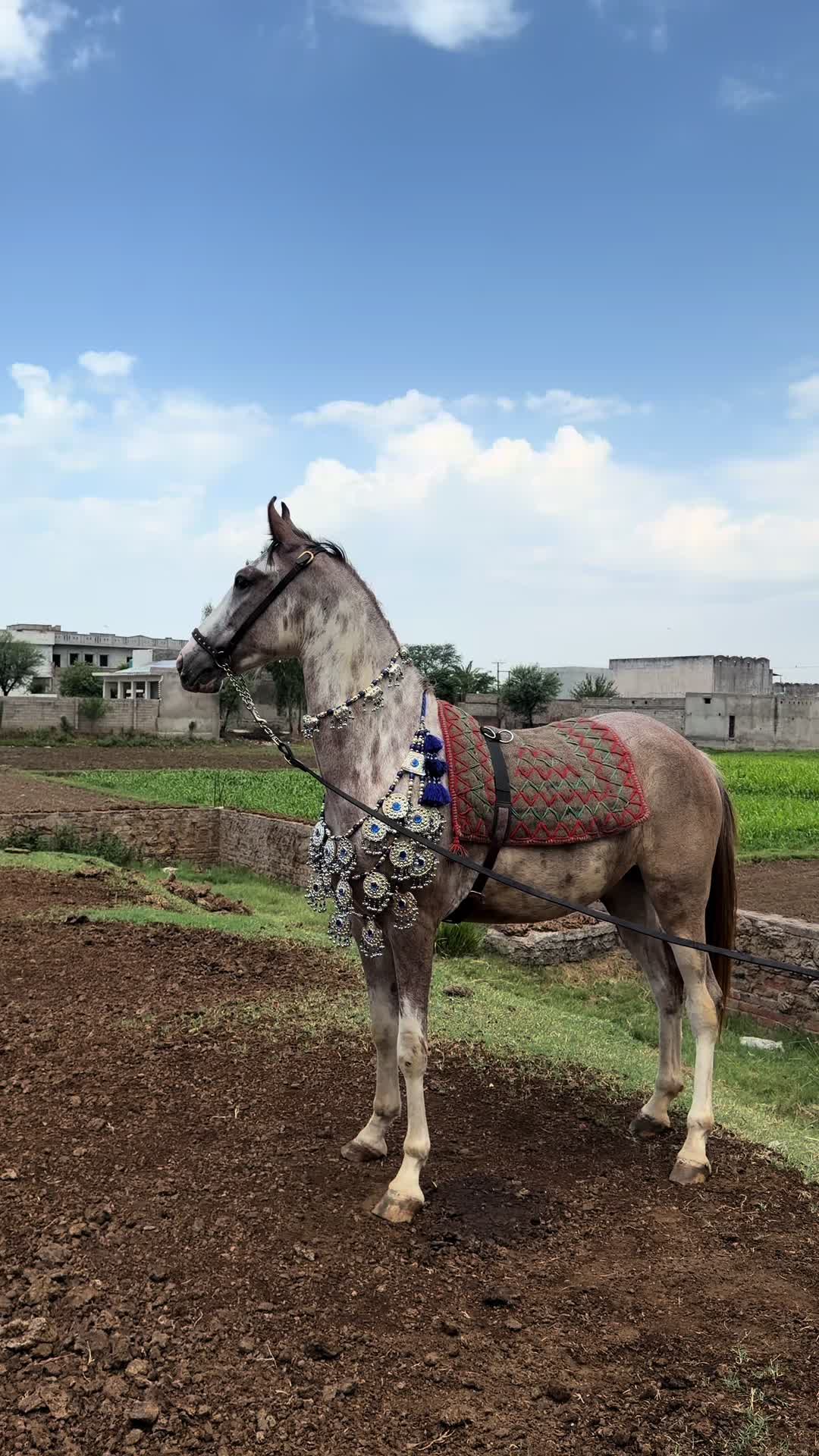@Dullah Gujjar