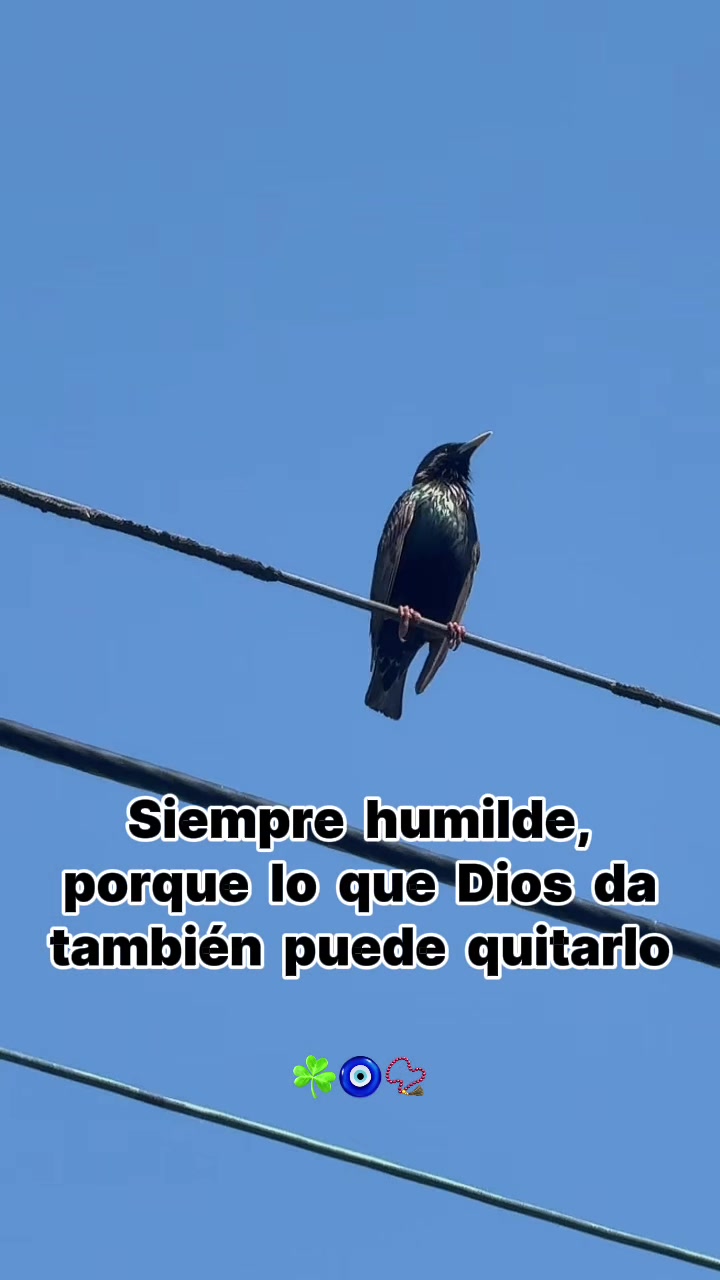 @maryquizhpi976