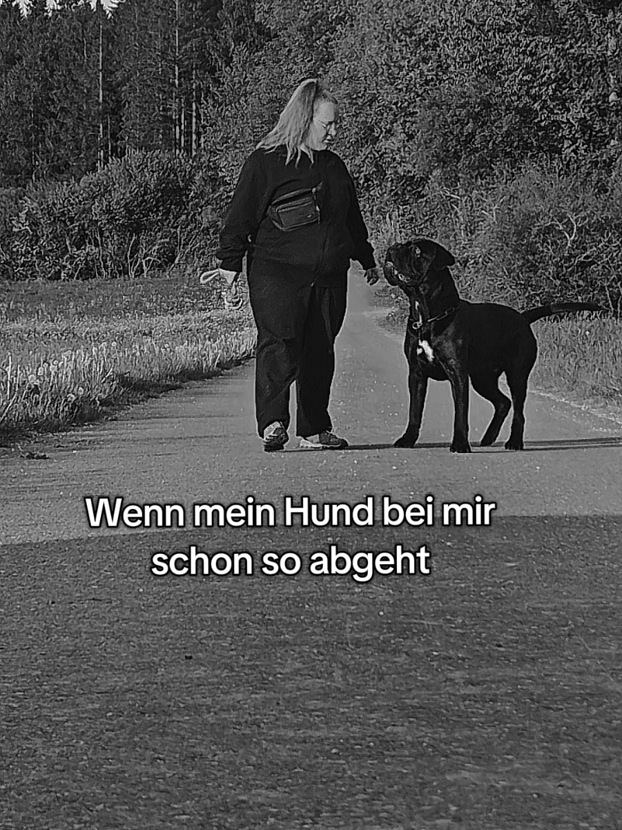 @Ludwig & Mich&egrave;le