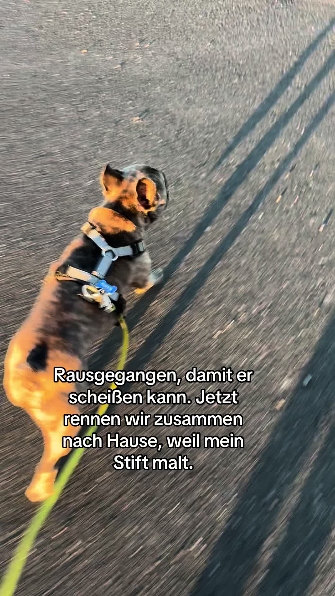 @Der Bommelboss &hearts;️