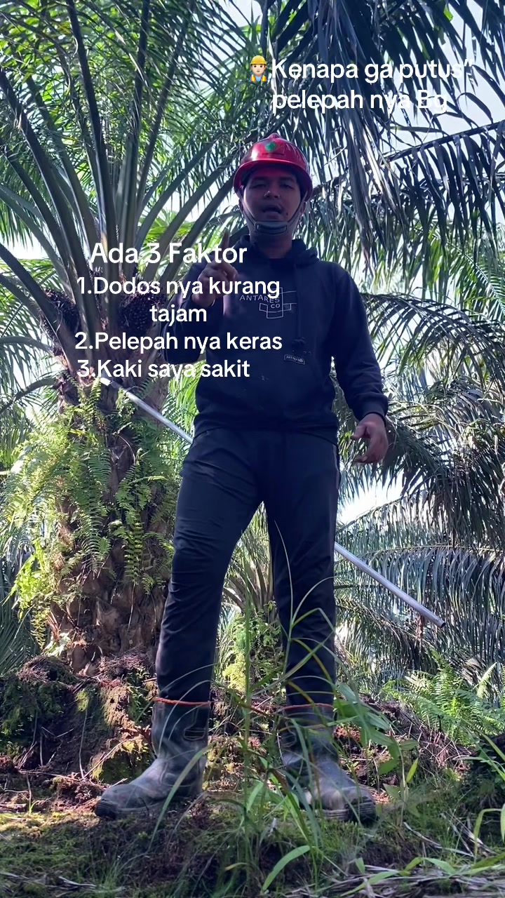 @Aswat