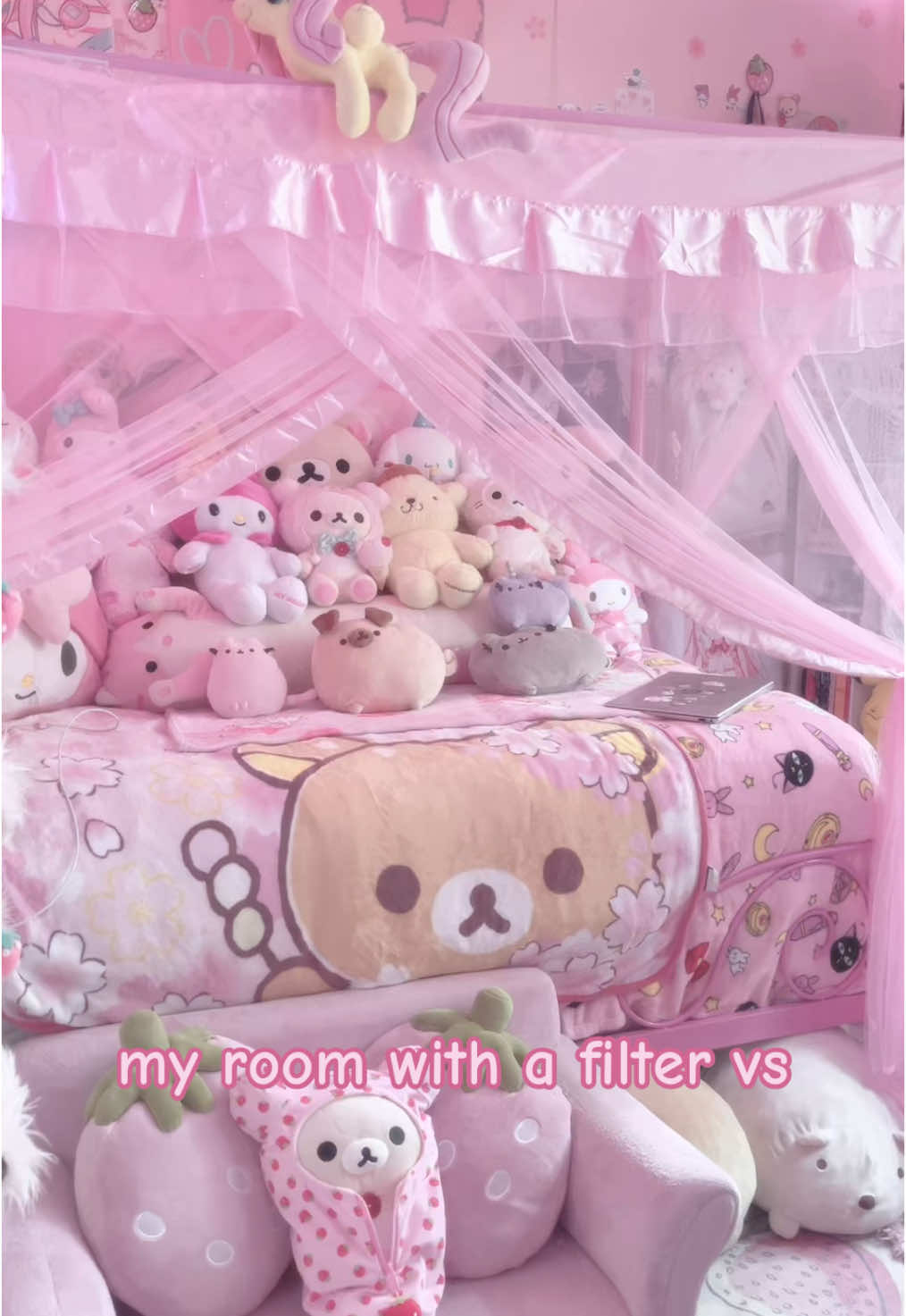 @໒꒰ྀིᵔ ᵕ ᵔ ꒱ྀི১