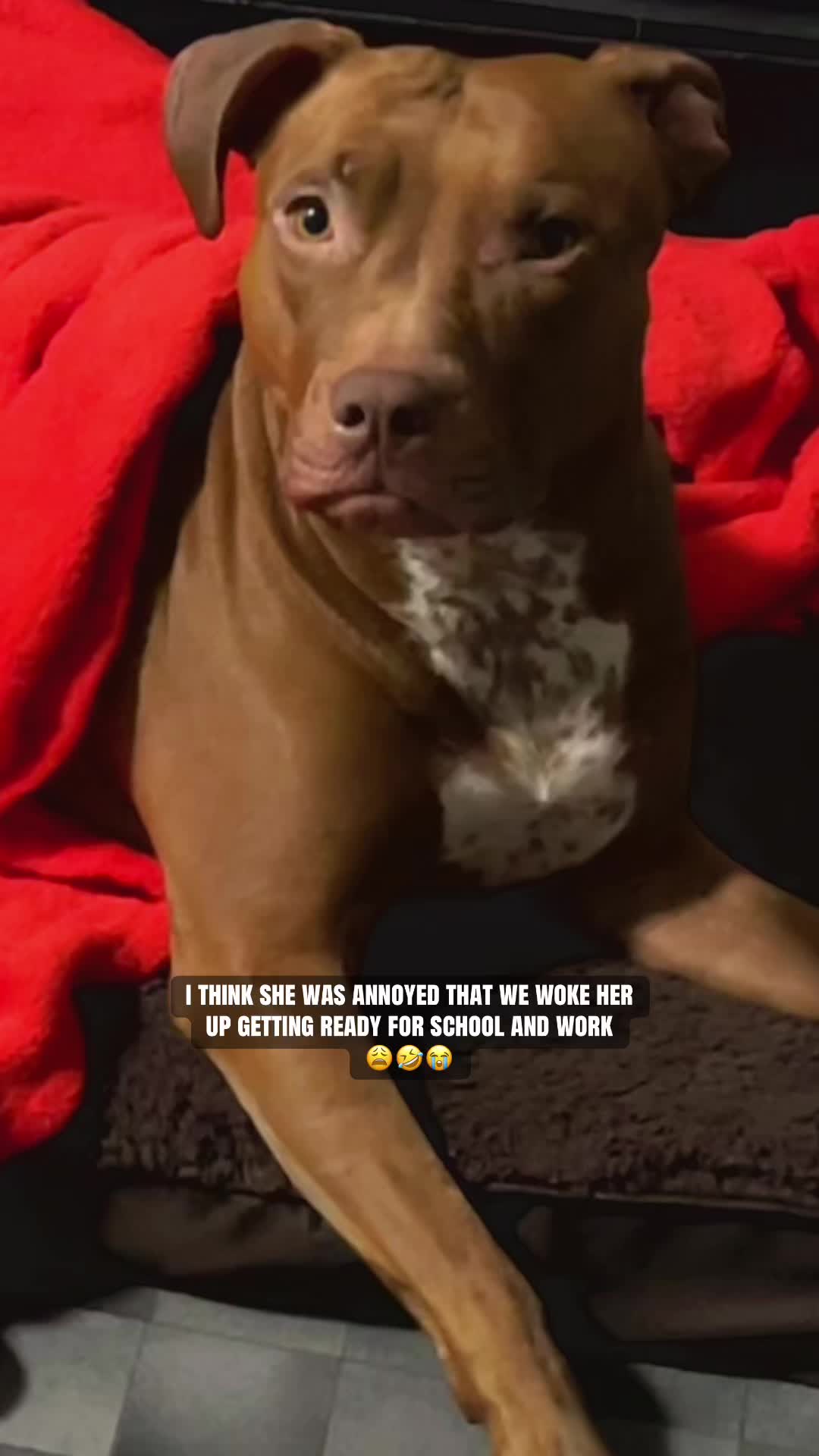 @𝖿𝗂