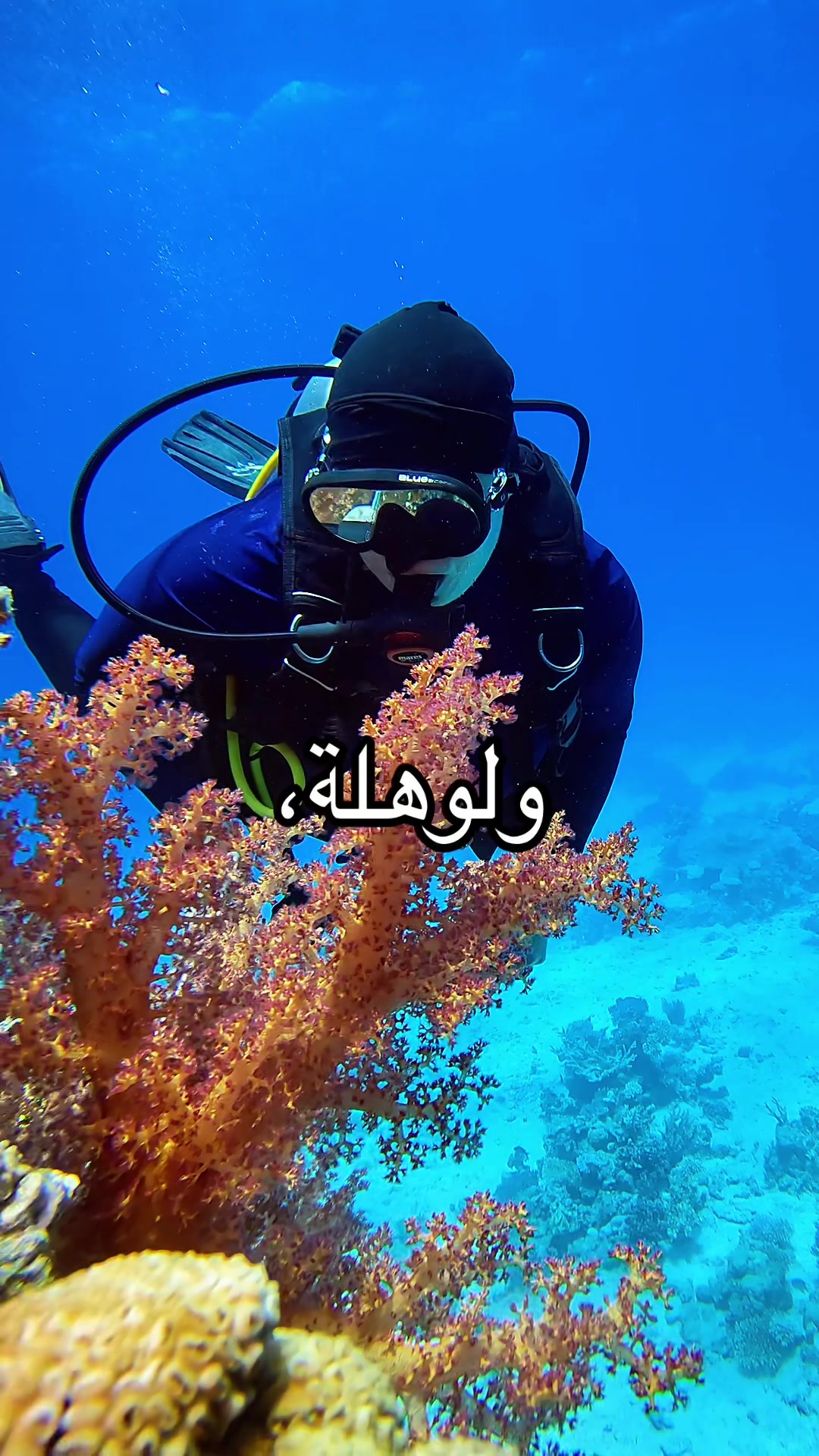 @Underwateramira 🤿♥️