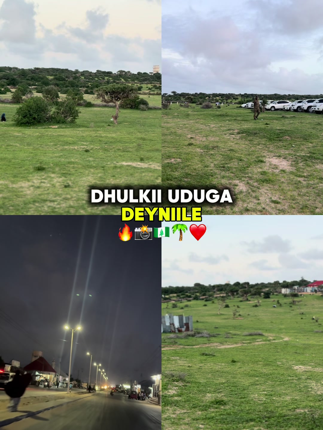 @𝗦𝗛𝗔𝗔𝗥𝗞𝗘𝗬_𝗔3 𝗧𝗩🦁